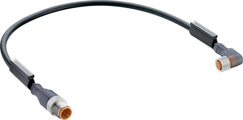 Belden 11753 Sensor-/Aktor-Steckverbinder, konfektioniert M12 Stecker, gerade, Buchse, gewinkelt 2.0