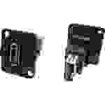 Cliff XLR Adapter USB 3.0A Buchse auf USB 3.0A Buchse Adapter, Einbau CP30205N CP30205N Inhalt: 1St.