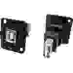 Cliff XLR Adapter USB 2.0 B Buchse auf USB 2.0A Buchse Adapter, Einbau CP30207N CP30207N Inhalt: 1St.