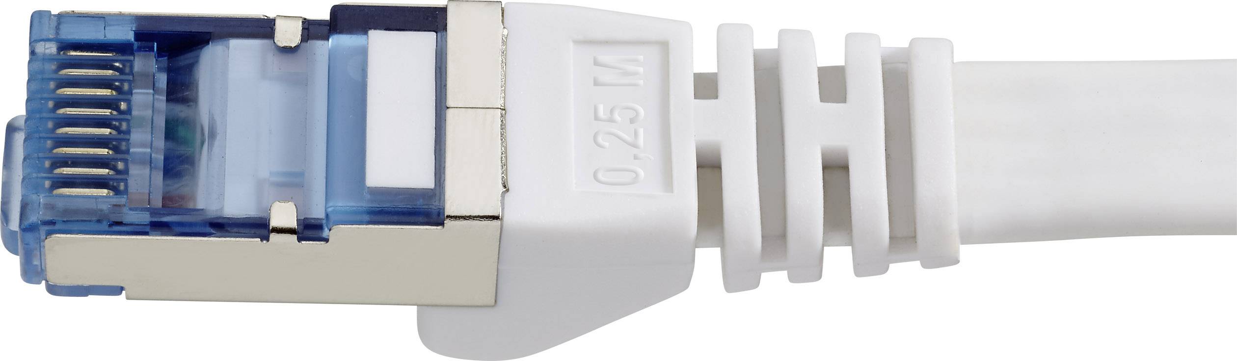 Nahaufnahme eines RJ45-Steckers mit weißem Kabel. Der Stecker zeigt eine blaue, transparente Abdeckung mit Metallkontakten.