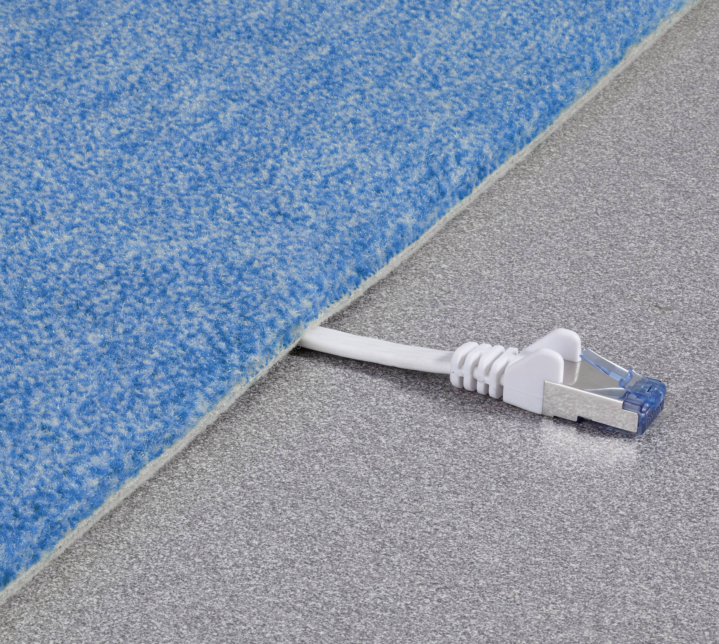 Ein Ethernet-Kabel ragt unter einem blauen Teppich hervor, liegt auf einem grauen Boden. Veranschaulicht Kabelmanagement oder Stolpergefahr.