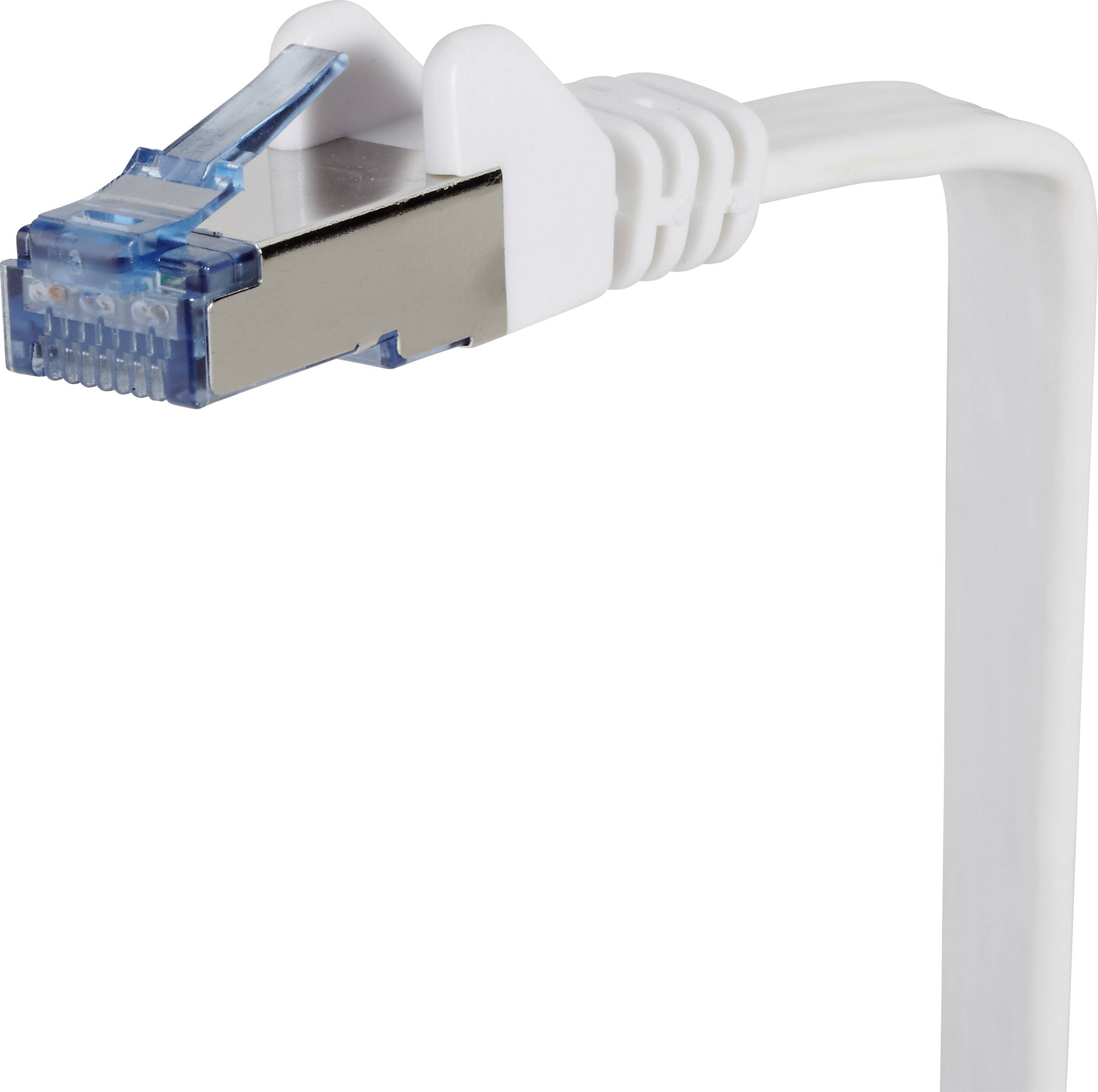 Ein weißes Ethernet-Kabel mit blauem RJ-45-Stecker, isoliert auf weißem Hintergrund.