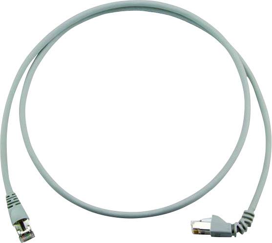Ein blaues Ethernet-Kabel mit zwei RJ45-Steckern, das zur Netzwerkverbindung verwendet wird.