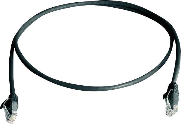 Schwarzes Ethernet-Kabel mit RJ45-Steckern an beiden Enden, auf weißem Hintergrund dargestellt.