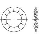TOOLCRAFT 138469 Fächerscheibe Innen-Durchmesser: 3.2mm DIN 6798 Federstahl galvanisch verzinkt 500St.