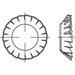 TOOLCRAFT 138488 Fächerscheiben Innen-Durchmesser: 3.2 mm DIN 6798 Federstahl galvanisch verzinkt 2