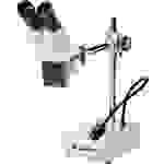 Bresser Optik Biorit ICD-CS Stereomikroskop Binokular 20 x Auflicht