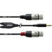 Cordial Audio Adapterkabel [1x Klinkenstecker 3.5mm - 2x XLR-Buchse] 3.00m Schwarz