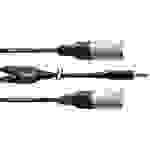 Cordial Audio Adapterkabel [1x Klinkenstecker 3.5mm - 2x XLR-Stecker] 1.80m Schwarz