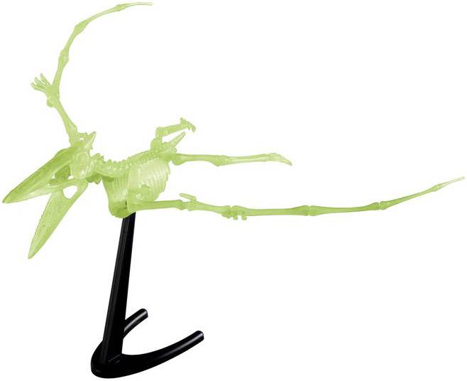 Ausgrabunsset Nachtleuchtender Flugsaurier