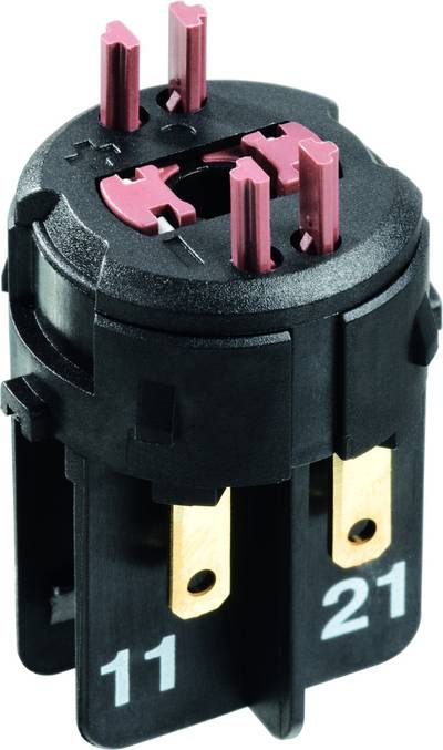 RAFI 22 FS 1.20.126.704/0000 Kontaktelement 2 Öffner 250V 10St.