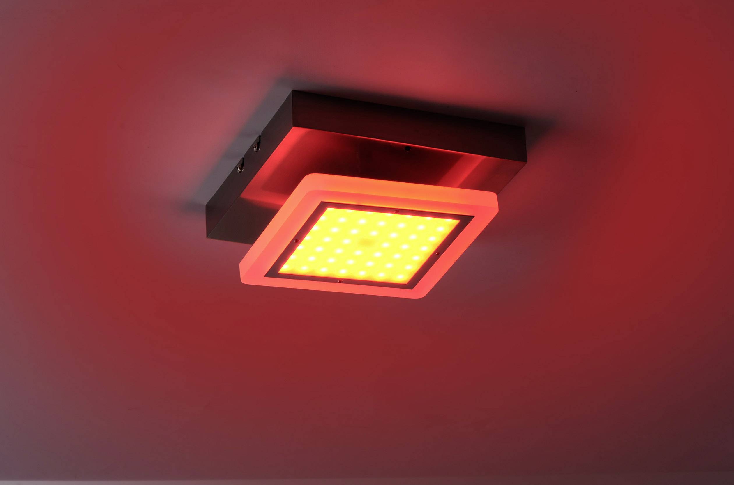 Paul Neuhaus Q®-Vidal 230 V