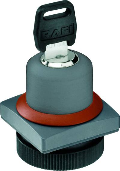 RAFI 1.30.275.372/0000 22 FS+ RAFIX 22 FS+ 1.30.275.372/0000 ...
