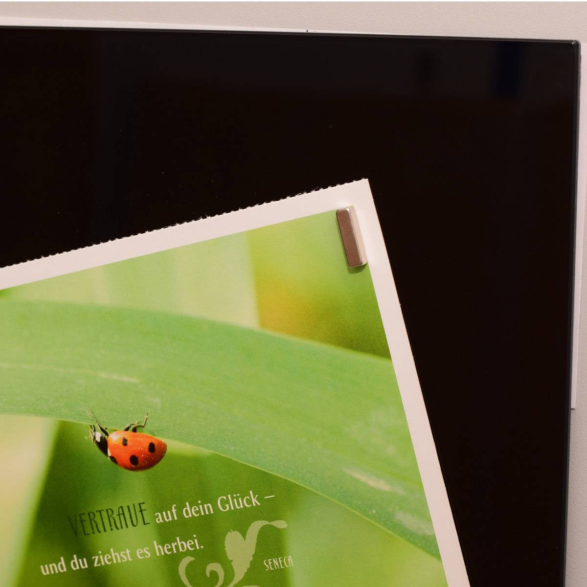 Maul Neodym Magnet (B x H x T) 15 x 4 x 4mm rechteckig, Stab Silber 4 St. 6169096