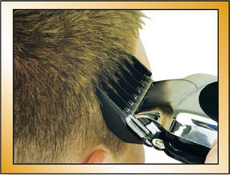 Wahl 79305-1316 Haarschneider, Ohr-, Nasenhaartrimmer Silber-Schwarz