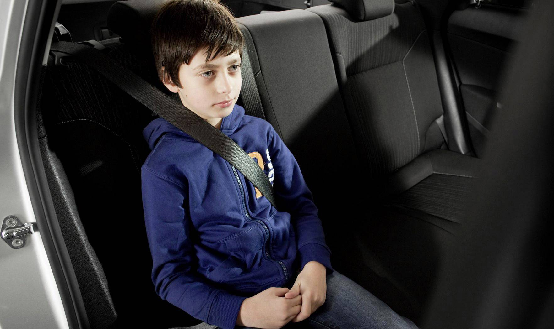 LifeHammer 19161 SAFETY BELT SOLUTION Sicherheitsgurtführung Kinder, Erwachsene 1St.