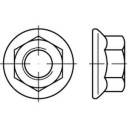 TOOLCRAFT 139772 Sperrzahnmuttern mit Flansch M6 DIN 6923 Stahl galvanisch verzinkt 1000St.
