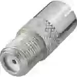 Renkforce RF-4196985 F-Koax-Adapter Anschlüsse: F-Buchse, Koax-Buchse IEC Renkforce RF-4196985 F-Koax-Adapter Anschlüsse: F-Buchse, Koax-Buchse IEC