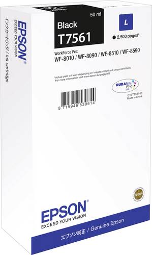 Epson Tinte C13T756140 Original Schwarz C13T756140