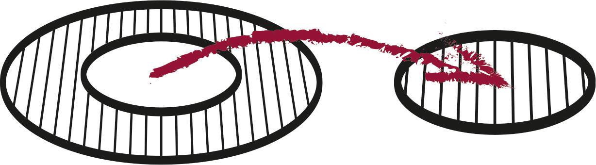 tepro Garten 8230 Dutch-Oven Guss Grillrost Einleger Schwarz