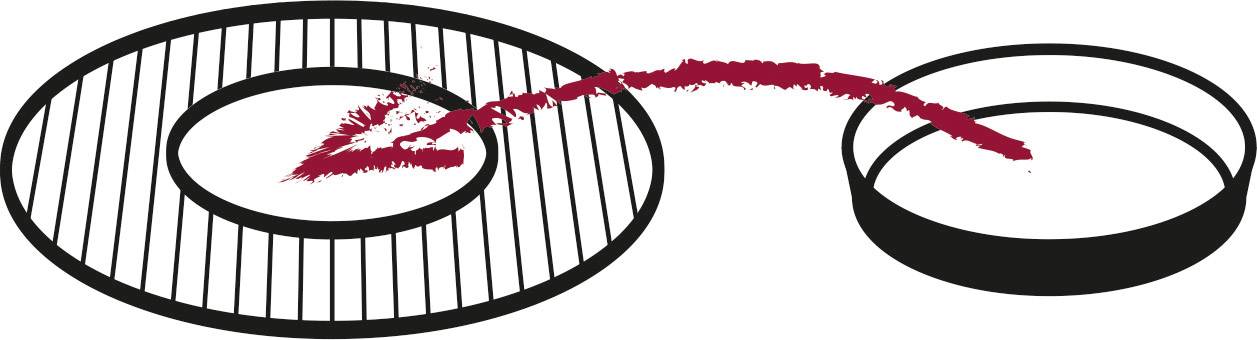 tepro Garten 8230 Dutch-Oven Guss Grillrost Einleger Schwarz