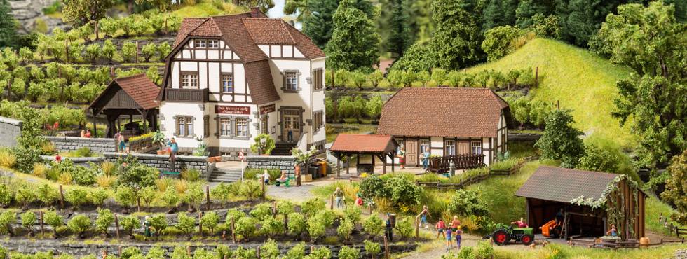 NOCH 0063712 N Weingut "Hauser-Bühler"