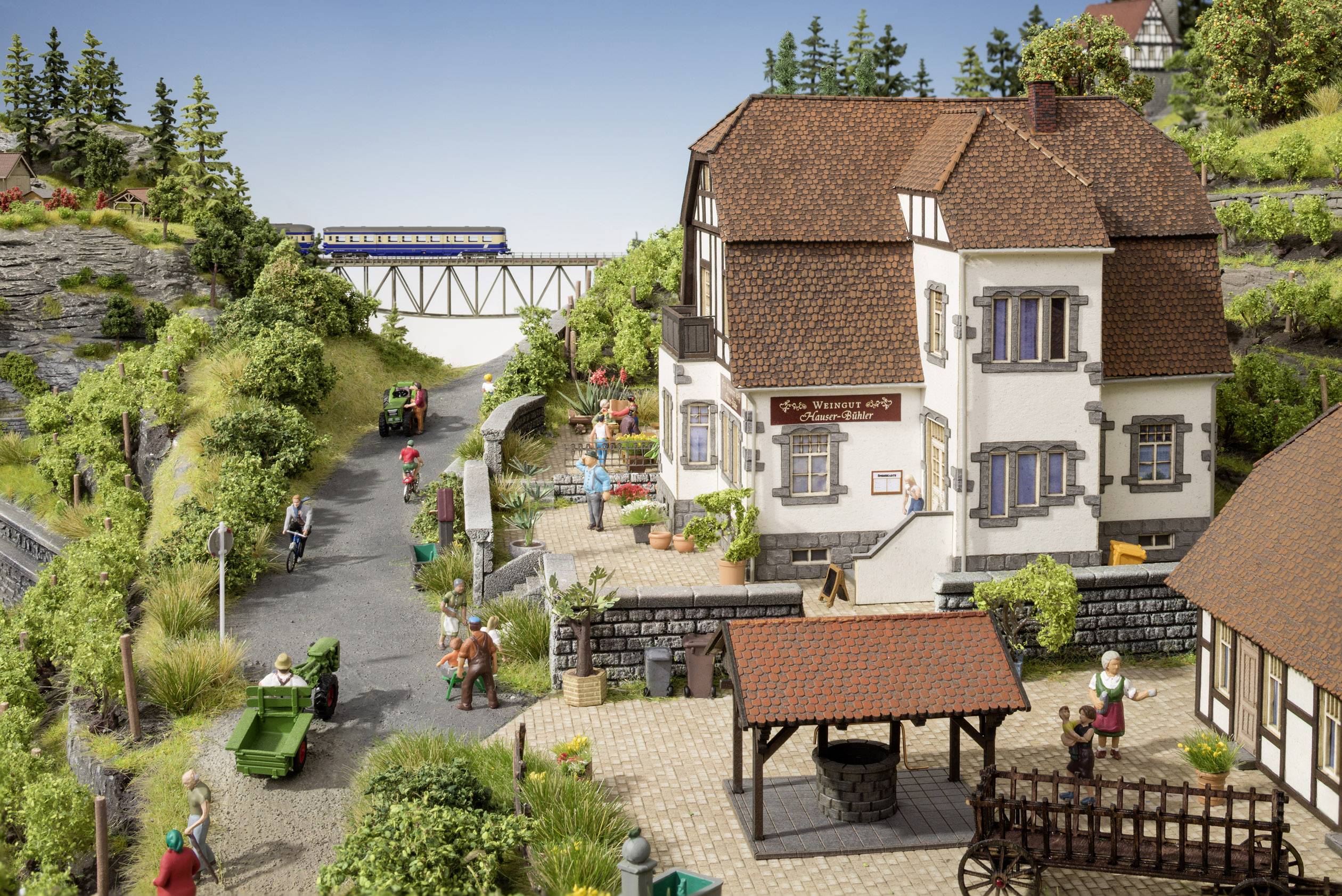 NOCH 0063712 N Weingut "Hauser-Bühler"