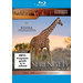 blu-ray Hugo van Lawick Serengeti: Wunderwelt der Tiere FSK: 0 GM71041