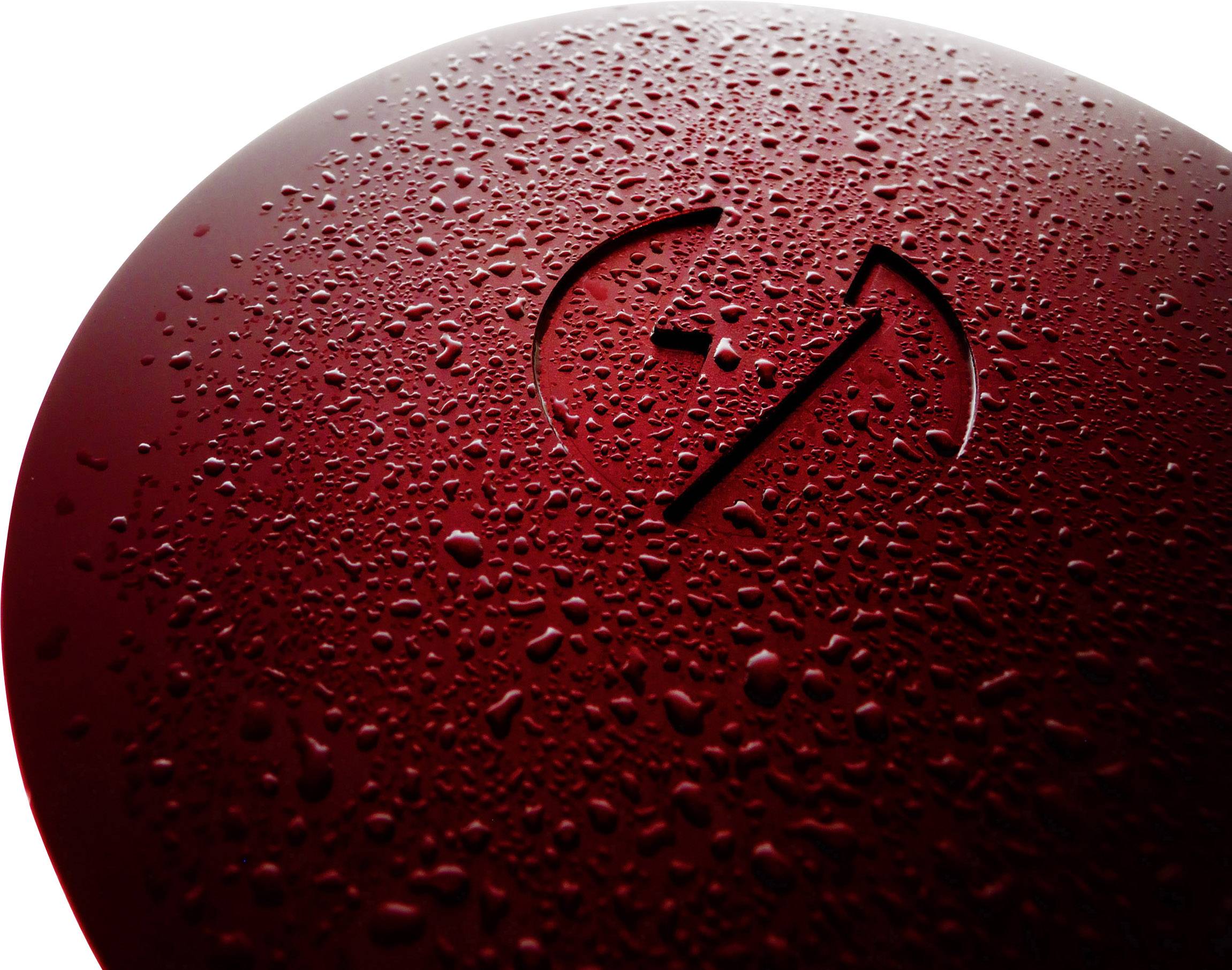 Powerspot Lanyard + LANY-PLUS Thermogenerator-Ladegerät Rot, Silber