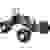Traxxas Skully Brushed 1:10 RC Modellauto Elektro Monstertruck Heckantrieb (2WD) RtR 2,4GHz