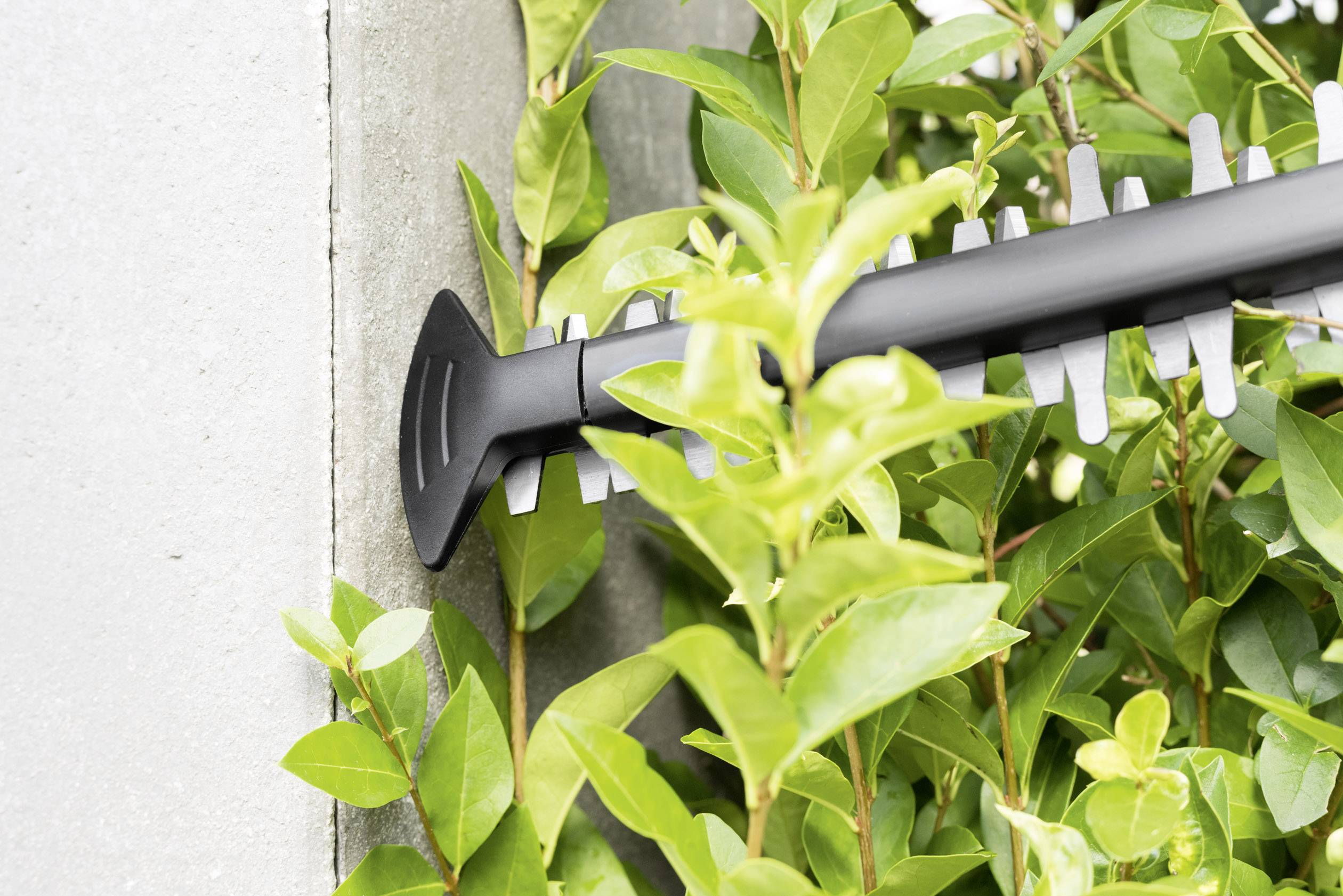 Bosch Home and Garden AHS 55-20 LI Akku Heckenschere inkl. Akku 18V Li-Ion 550mm