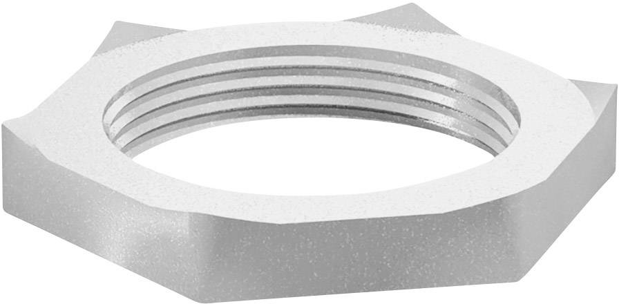 Sechskantmuttern mit Gewinde, silberfarben, auf weißem Hintergrund. Sie hat eine glatte, glänzende Oberfläche.