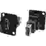 Cliff XLR Adapter USB A Buchse 3.0 auf USB B Buchse 3.0 Adapter, Einbau CP30205NMB CP30205NMB Inhalt: 1St.