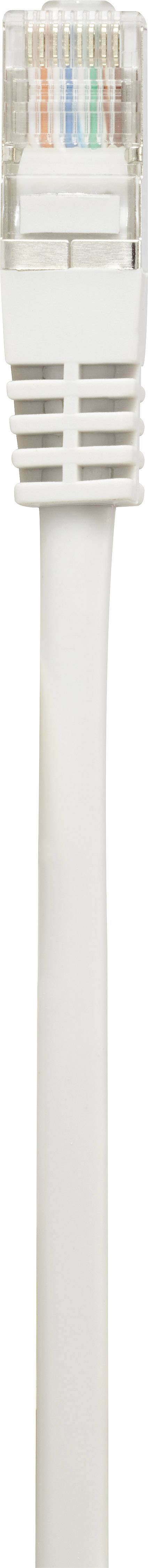 Renkforce RF-2921763 RJ45 Netzwerkkabel, Patchkabel CAT 5e F/UTP 3.00m Grau mit Rastnasenschutz 1St.