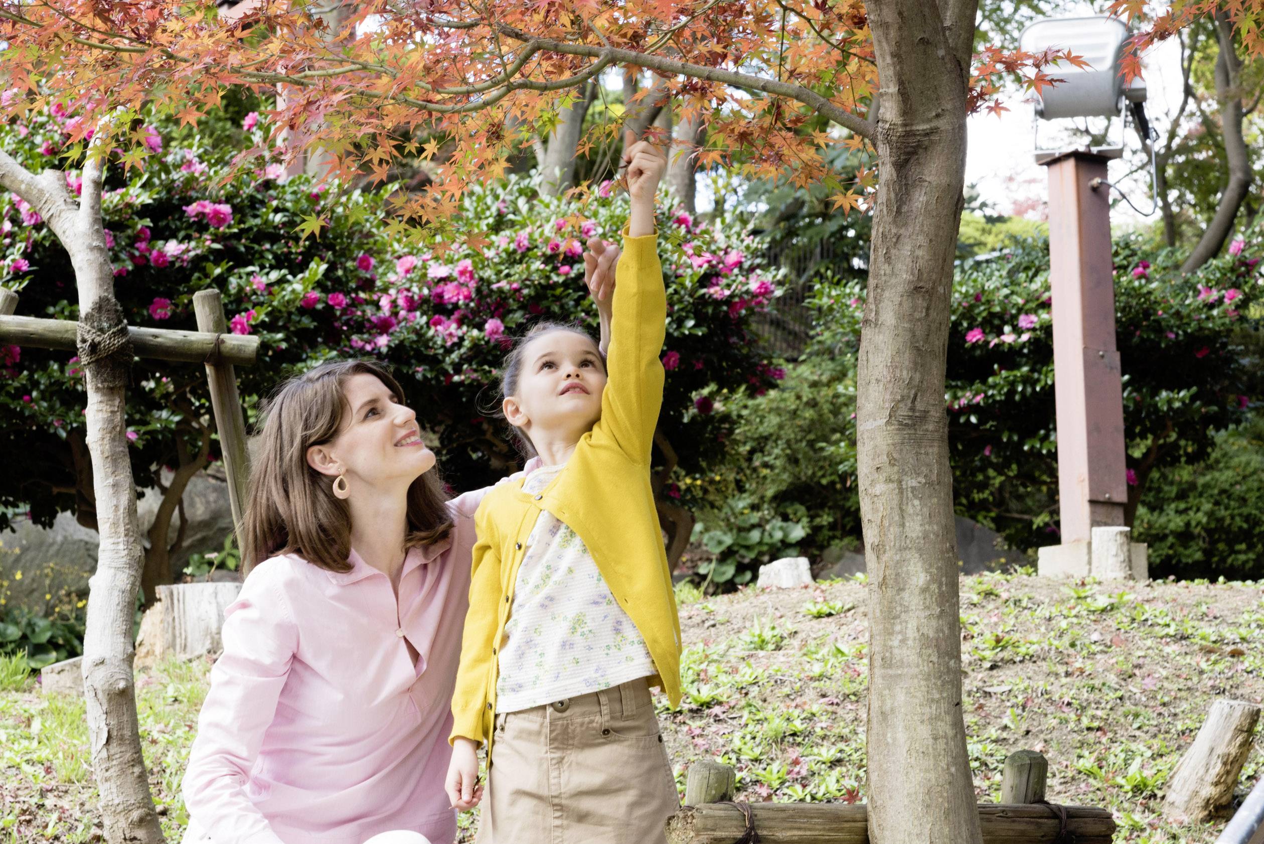 Panasonic HC-V380EG-K Camcorder 7.6 cm 3 Zoll 2.2 Megapixel Opt. Zoom: 50 x Schwarz