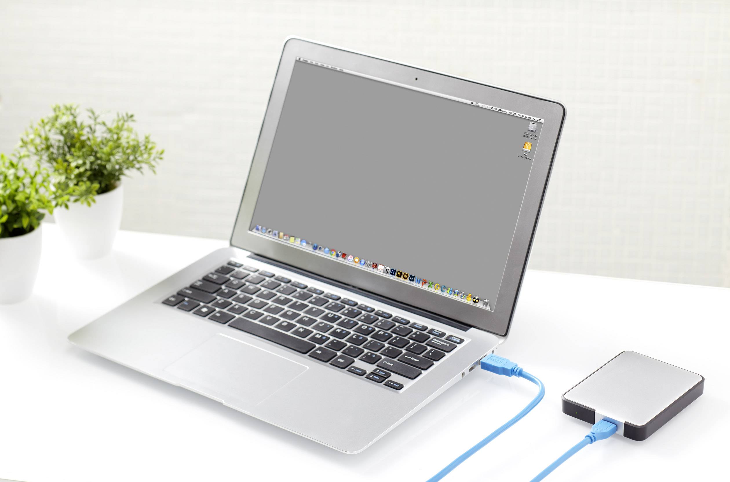 Ein Laptop mit angeschlossenem externen Festplattenlaufwerk steht auf einem weißen Tisch. Im Hintergrund sind zwei Pflanzen sichtbar.
