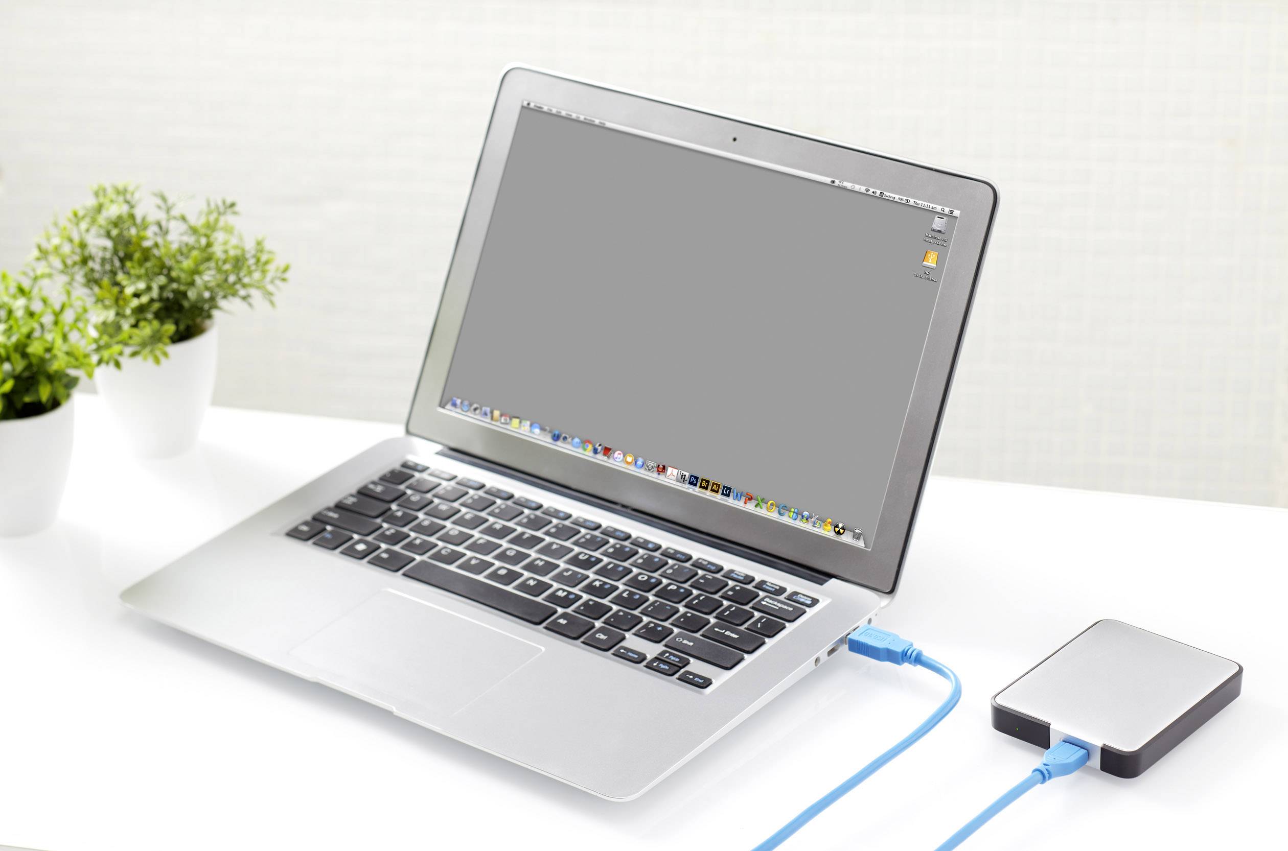Ein Laptop ist mit einer externen Festplatte verbunden. Auf dem Tisch stehen zwei Pflanzen. Der Bildschirm des Laptops ist an.