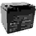 XCell XP 45 - 12 XP4512 Bleiakku 12V 45Ah Blei-Vlies (AGM) (B x H x T) 197 x 170 x 165mm M6-Schraubanschluss Wartungsfrei