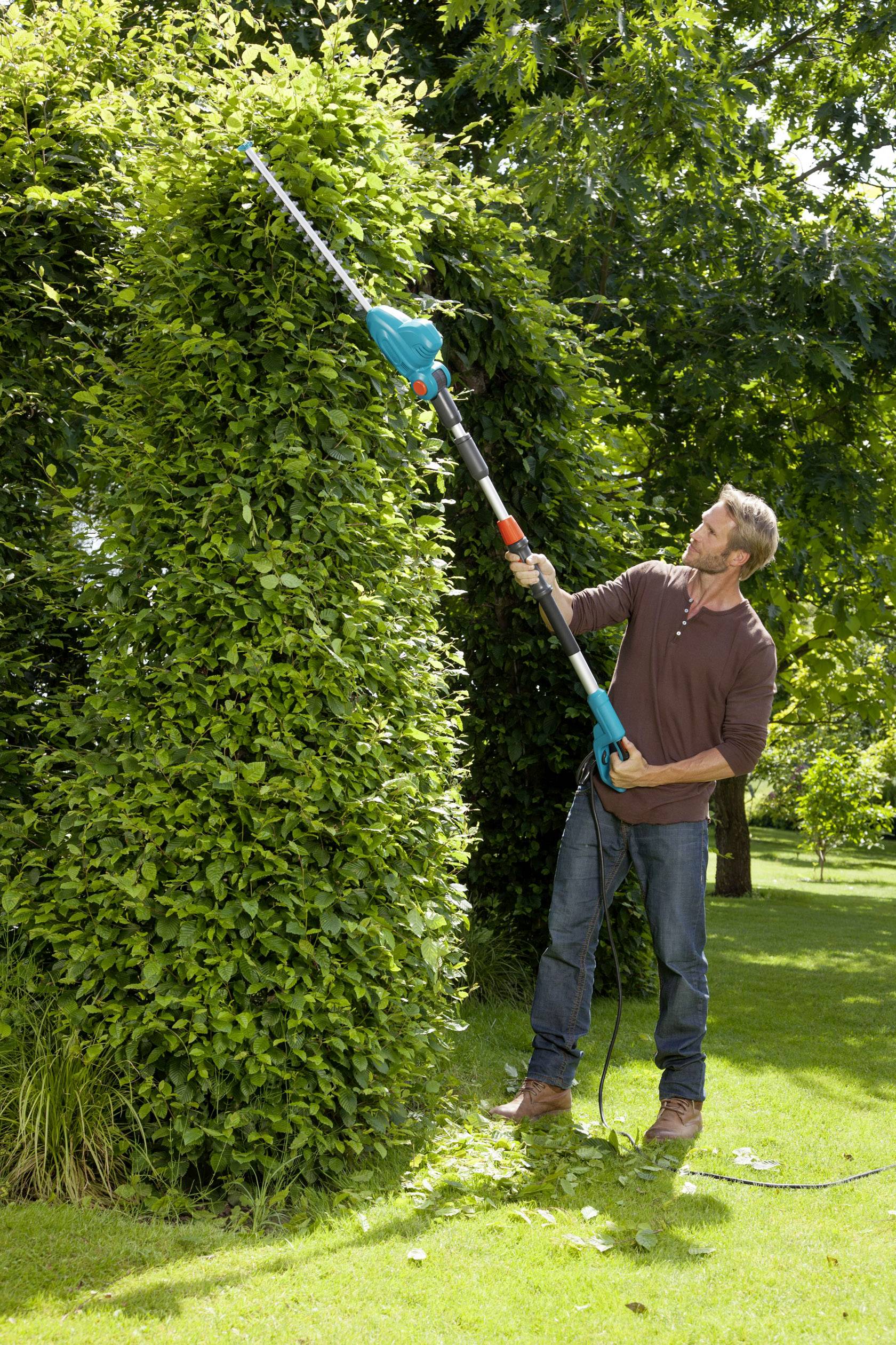 Mann in braunem Pullover schneidet hohe Hecke im Garten mit elektrischem Heckenschneider. Sonniges Wetter, grüner Rasen.