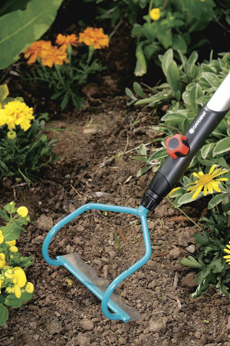 Ein Handgerät wird im Garten verwendet, um den Boden zwischen Blumenpflanzen zu lockern. Das Gerät hat einen blauen Metallkopf.