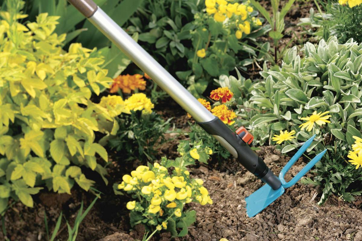 Person benutzt eine Gartenhacke, um Erde zwischen blühenden Pflanzen im Garten zu lockern. Bunte Blumen und grüne Blätter umgeben die Szene.