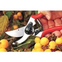 Felco 11 Gartenschere 210 mm Bypass Felco 11 Gartenschere 210 mm Bypass