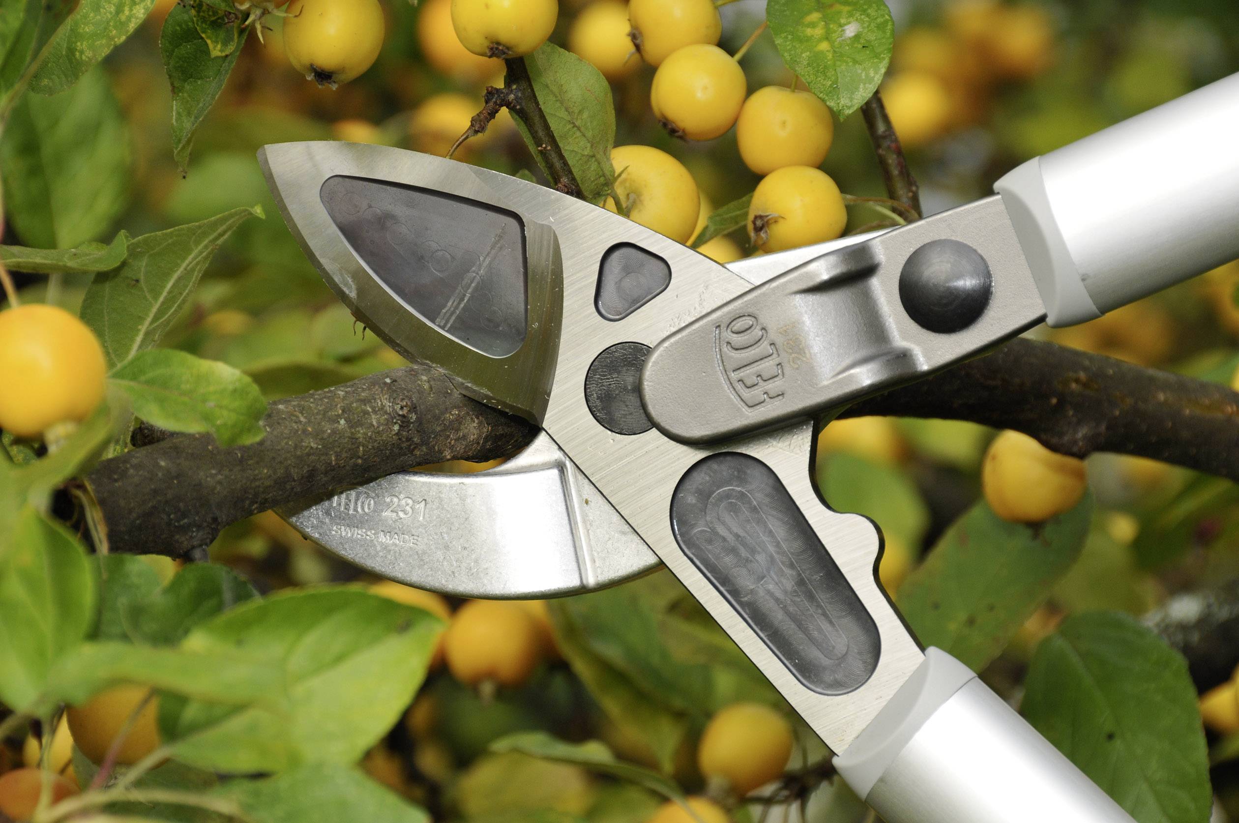 Felco 231 Astschere Amboss