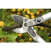 Felco 231 Astschere Amboss Felco 231 Astschere Amboss