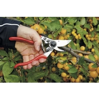 Felco 9 Gartenschere 210 mm Bypass Felco 9 Gartenschere 210 mm Bypass
