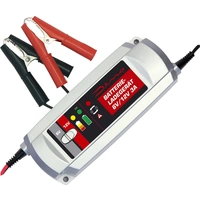 DINO KRAFTPAKET 136301 Automatikladegerät 12 V, 6V 3A DINO KRAFTPAKET 136301 Automatikladegerät 12 V, 6V 3A
