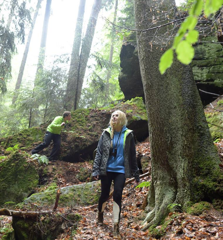 Steiner Fernglas Safari UltraSharp CF 10 x 30 mm Porro Schwarz 4406