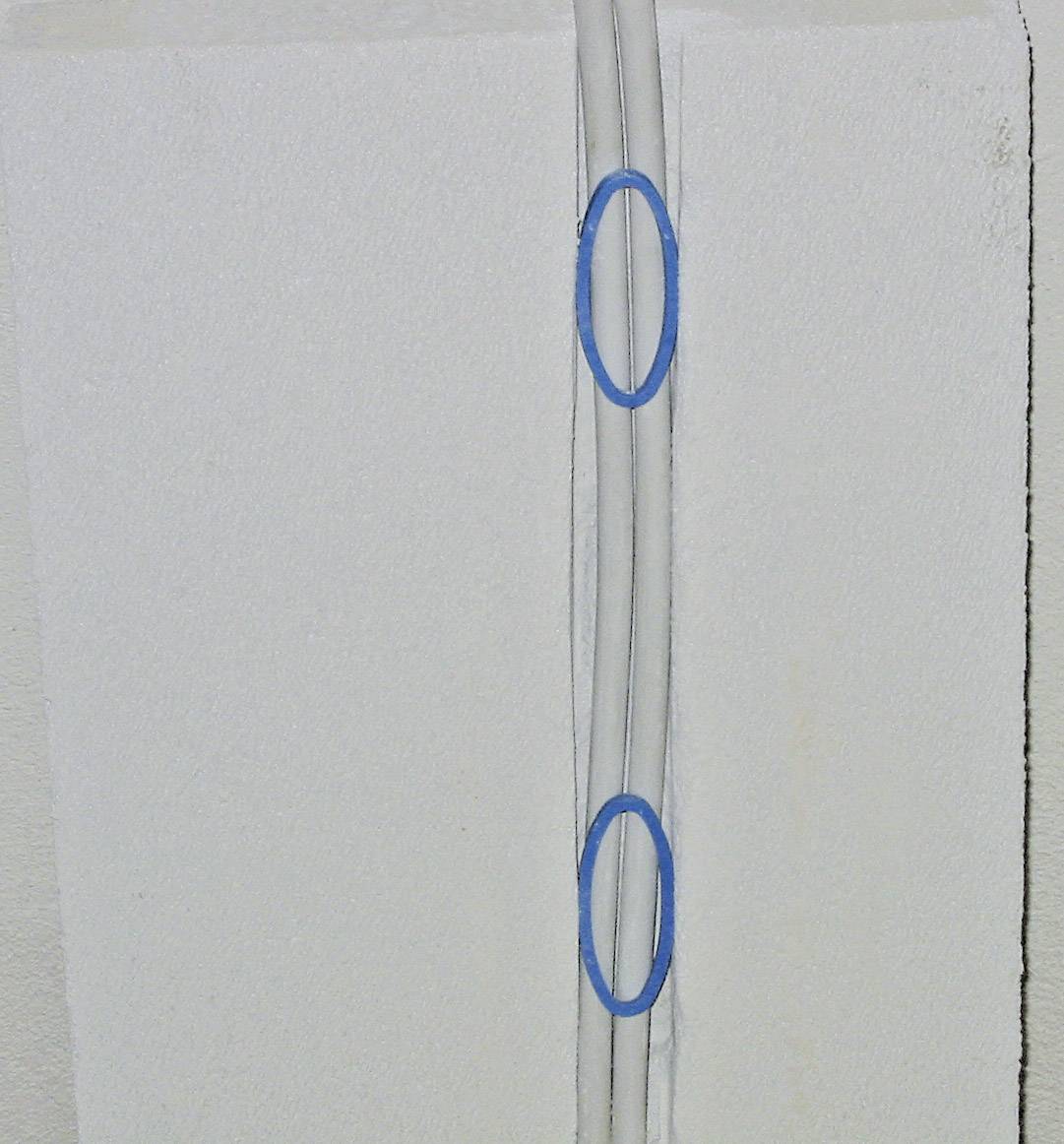 PRIMO P076 Primoclip (L x B) 60 mm x 30 mm 100 St.