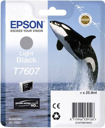 Epson Druckerpatrone T7607 Original Light Schwarz C13T76074010