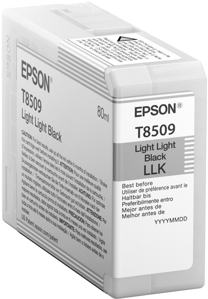 Epson Druckerpatrone T8509 Original Light Light Schwarz C13T850900